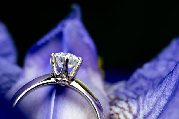 Lily Arkwright’s Lab Diamond Eternity Bands: A Love Story in Every Sparkle